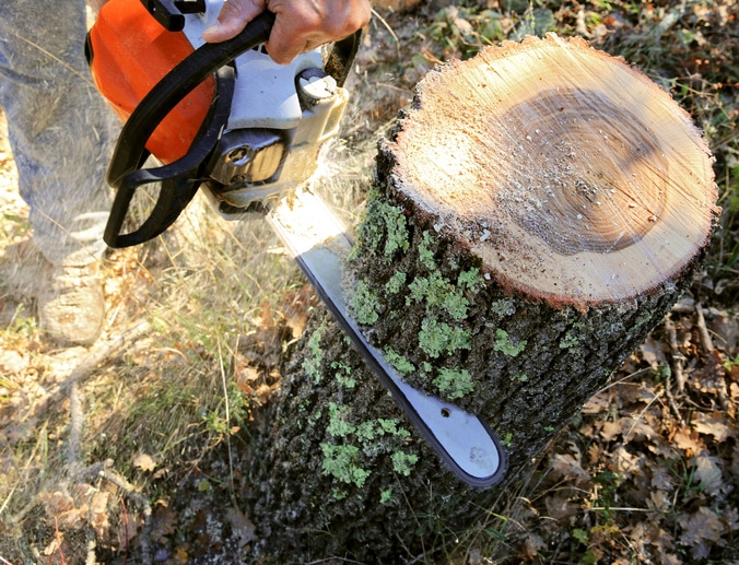 cutting of large diameter wood