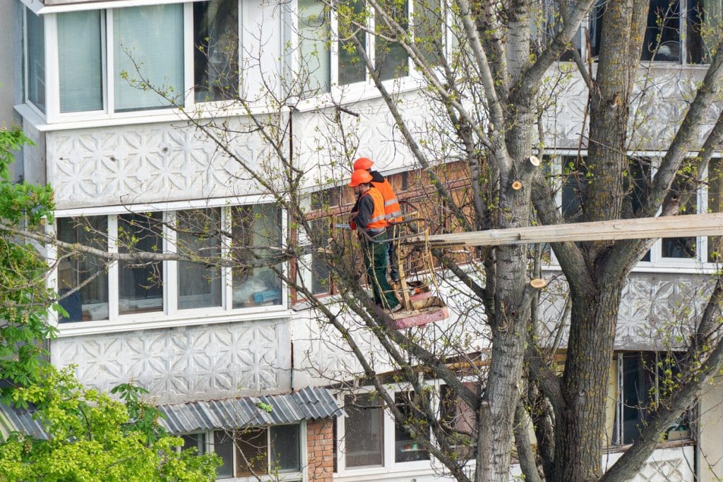 Workers in the city